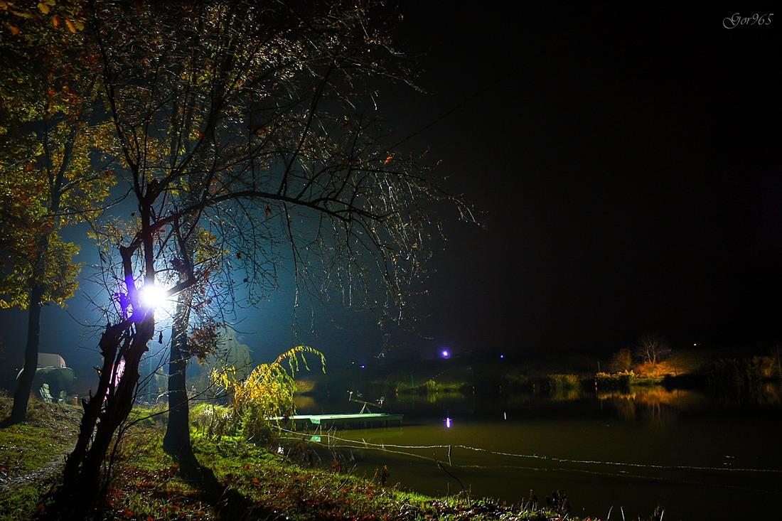 Night-vision-2 - img177345resize.jpg